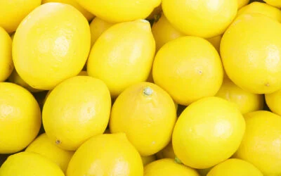 Lemons Lemons Lemons