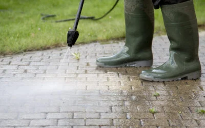 From Spring Through Summer: Watch for Algae Around Your Property